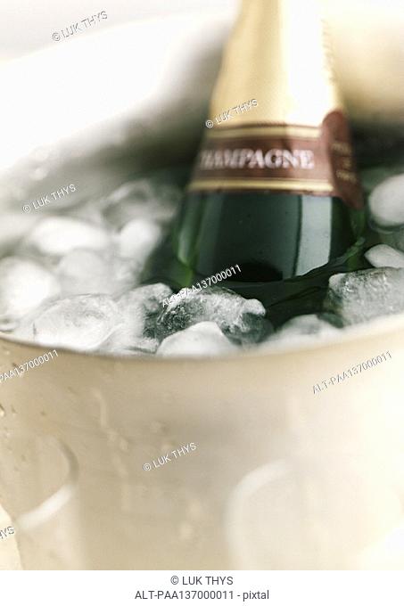 Bottle of Champagne sitting in ice bucket