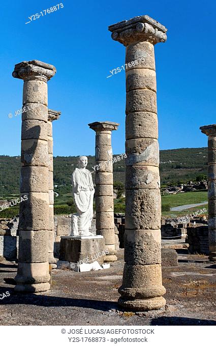 Roman ruins of Baelo Claudia, Basilica, Tarifa, Cadiz-province, Spain