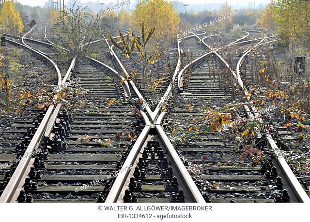 Railway tracks, abandoned marshalling yard in Duisburg Wedau, an industrial wasteland in the Ruhr area, North Rhine-Westphalia, Germany, Europe