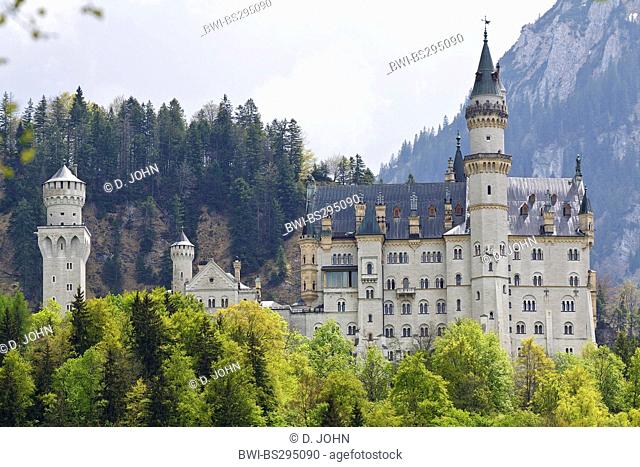 Neuschwanstein Castle, Schloss Neuschwanstein, Germany, Bavaria, Allgaeu, Schwangau