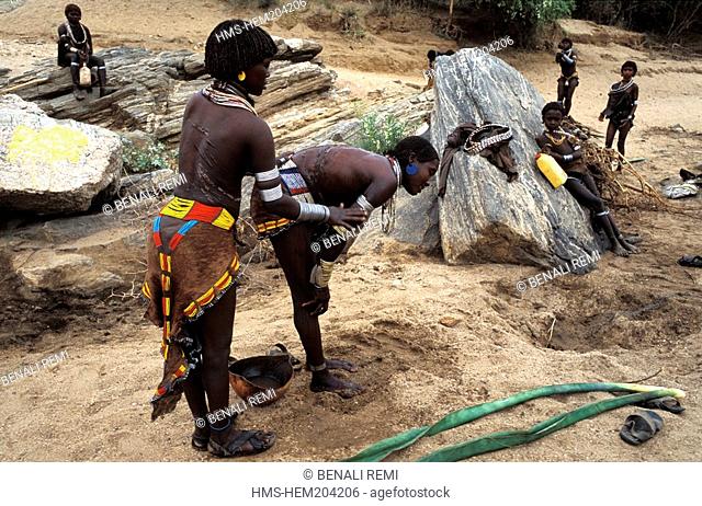 Ethiopia, Lower Omo Valley, listed as World Heritage by UNESCO, the Bullah ritual ceremony of Hamer Tribe, a young man who wants to marry will have to jump over...