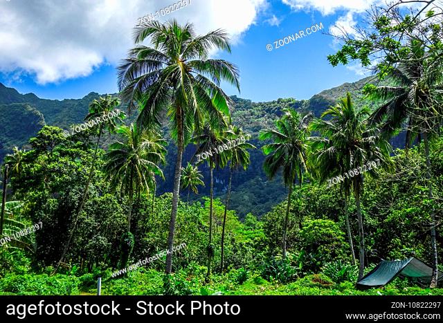 Moorea island jungle and mountains landscape view. French Polynesia