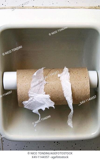 Hygienic paper, Toilet paper