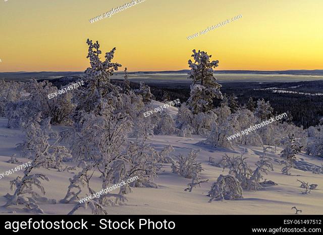 Winterlandscape at sunset, making the sky colorfull with nice warm color, Gällivare county, swedish Lapland, Sweden