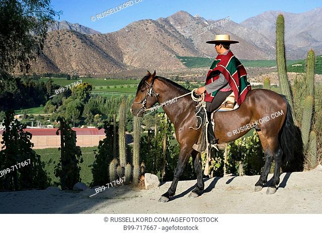 Huaso Wearing Chupalla Hat Don Maximiano Estate Vina Errazuriz Winery Aconcagua Valley Chile