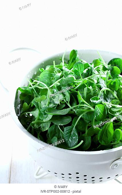 Organic Vegetable In A Bowl