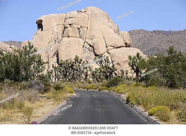 Road in front of boulder, Joshua Tree National Park, California, USA, North America