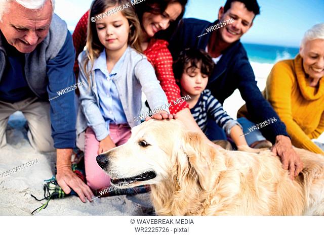 Cute family petting a dog