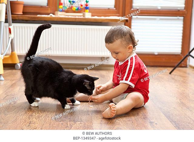 Little boy playing with a cat