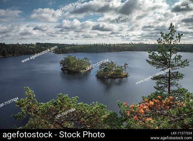 Small islands in Lake StensjÃ¶n in the Tyresta National Park in Sweden, from above