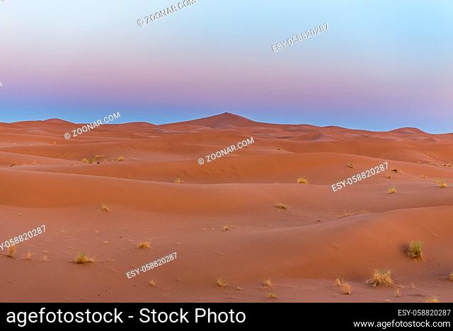 Dunes in the desert of Sahara, Morocco