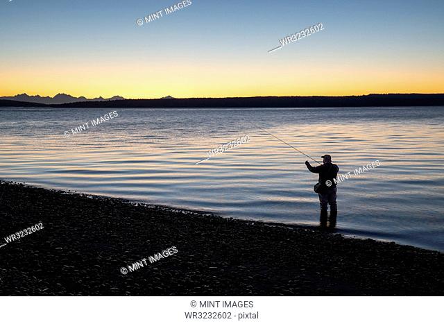 A fly fisherman gets ready to wade into salt water at sunrise and fly fish for coastal cutthroat trout and salmon at a beach on the north west coastline of the...
