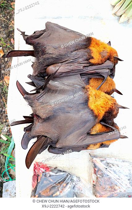 Dead Fruit Bat sell in the local market in sarawak, borneo