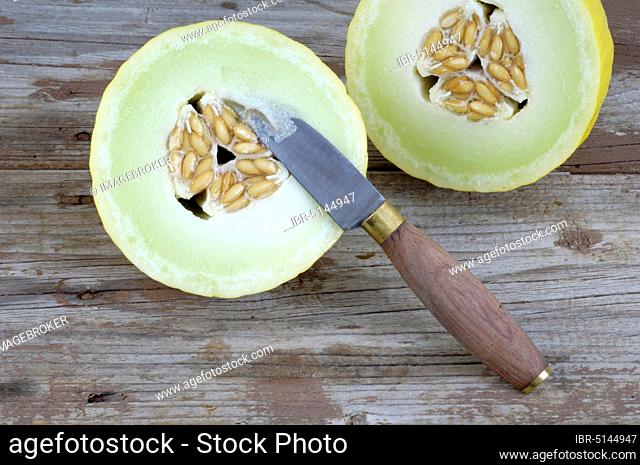 Knife and Sugar Melon (Cucumis melo), fruit knife and honey melon