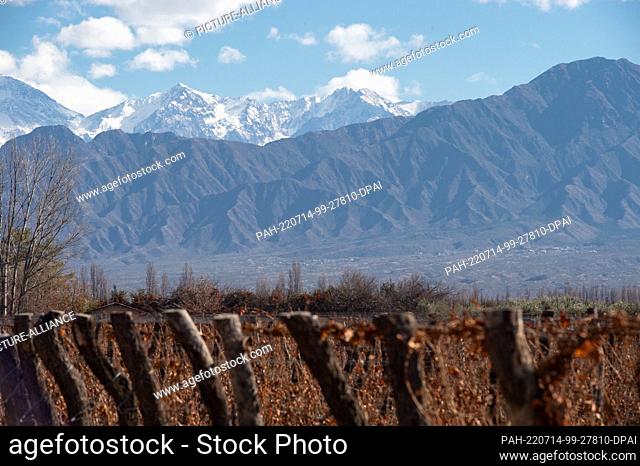 02 July 2022, Argentina, Mendoza: Vineyards rest in winter at the foot of the foothills of the Andes. Photo: Florencia Martin/dpa. - Mendoza/Argentina