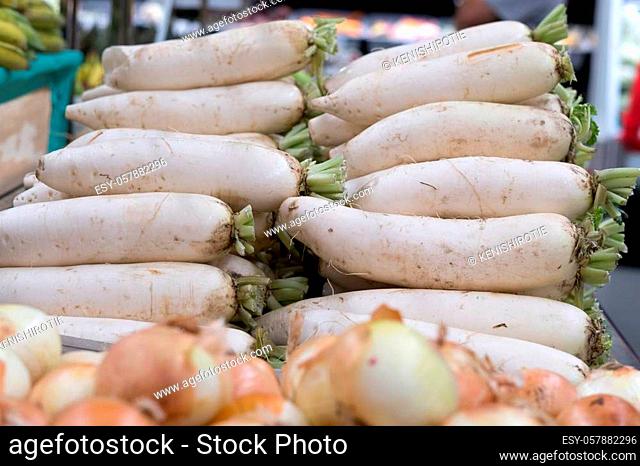 White daikon radishes in the Asian market