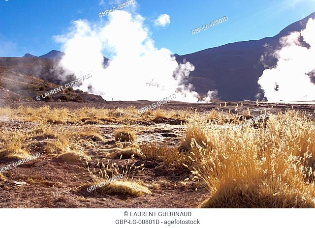 Geysers El Tatio, Atacama Desert, Region of Antofagasta, Santiago, Chile