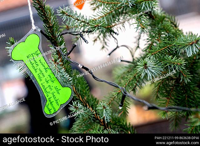 11 December 2022, Bremen: A wish list in the shape of a bone hangs on a wishing tree at the Christmas market for animals