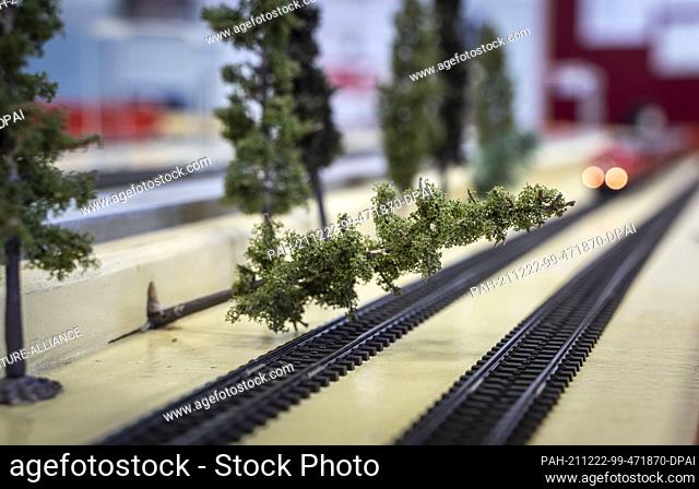 PRODUCTION - 17 November 2021, Hessen, Darmstadt: Trees can also be laid across the track by remote control on the model layout in the Darmstadt railway...
