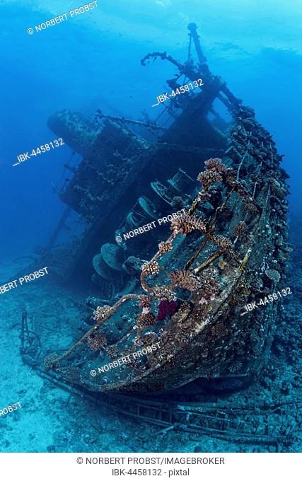 Stern, Giannis D shipwreck, Shab Abu Nuhas coral reef, Red Sea, Egypt