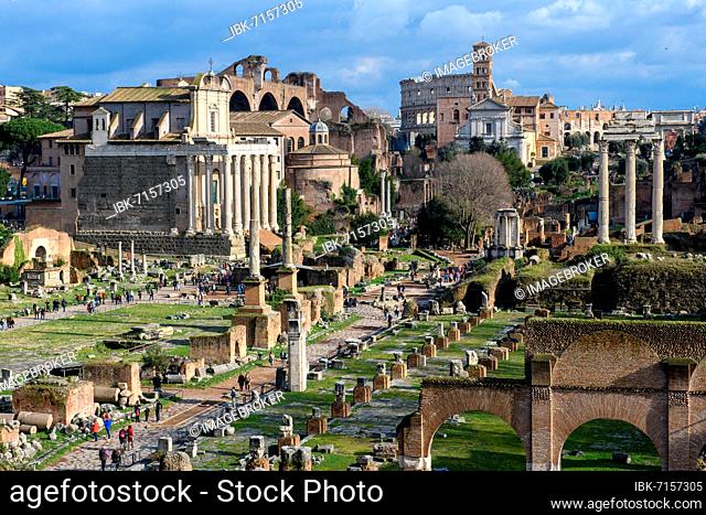 Temple of Pius and Faustina, in front Via Saca, on the right remains of Basilica Iulia, Roman Forum, Rome, Latium, Italy, Europe