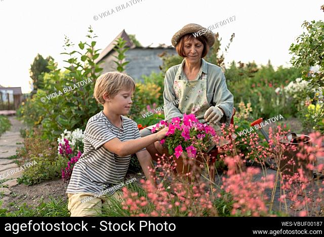 Senior woman with grandson planting flowers in garden