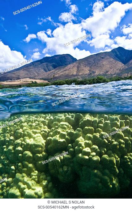 Half undewater and half above water view of Olowalu Reef on the west side of the island of Maui, Hawaii, USA