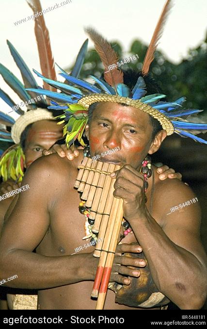 Indians from the Dessanos tribe with pan flute, Dessano, music, making music, Rio Taruma, Amazonas State, Brazil, South America