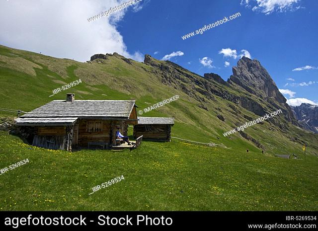 Alpine pasture on the Seceda with Geislerspitzen, Val Gardena, Dolomites, Trentino South Tyrol, Italy, Europe