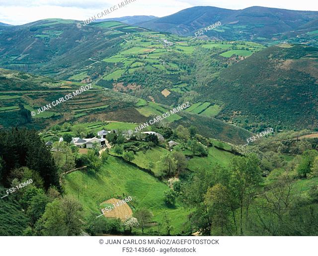 Lamas, Los Ancares mountains. Lugo province, Spain