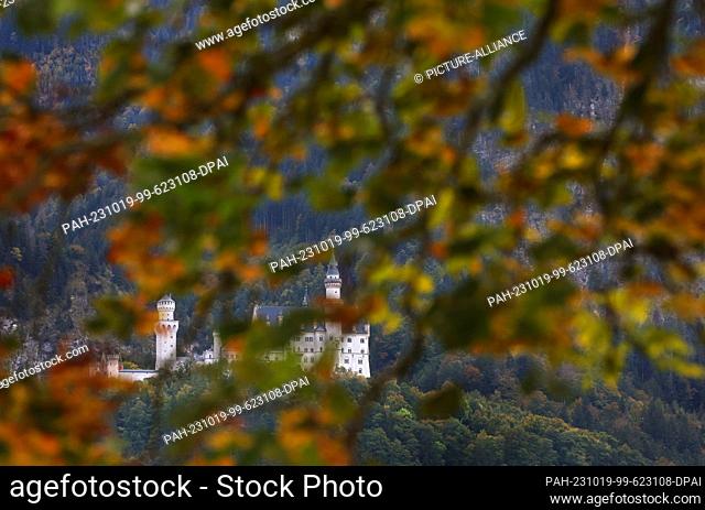 19 October 2023, Bavaria, Schwangau: Neuschwanstein Castle stands behind autumn leaves. Photo: Karl-Josef Hildenbrand/dpa. - Schwangau/Bavaria/Germany