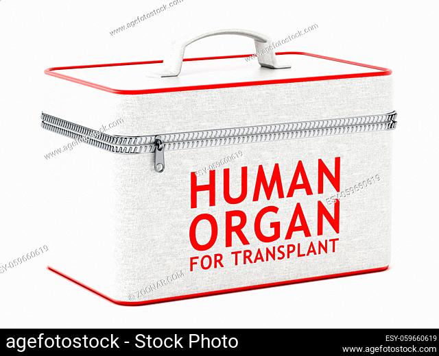 Human organ for transplant box. 3D illustration