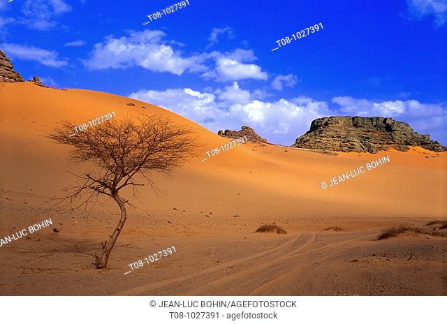 afrique, sahara, libye : désert sud-ouest