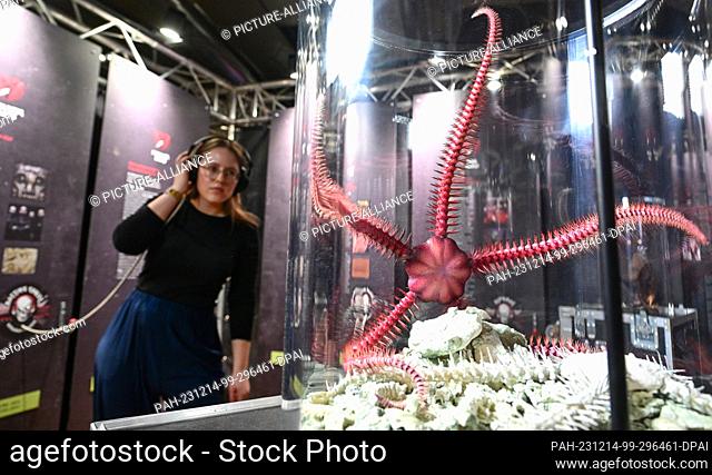 14 December 2023, Baden-Württemberg, Stuttgart: A visitor to the special exhibition entitled ""Rock Fossils feat. The Rolling Stoneflies"" listens to rock music...