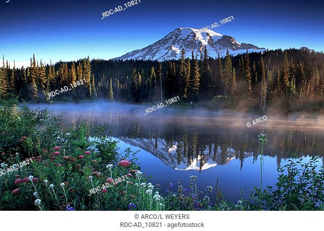 Mount Rainier mirrored in Reflection Lake Mt Rainier national park Washington USA