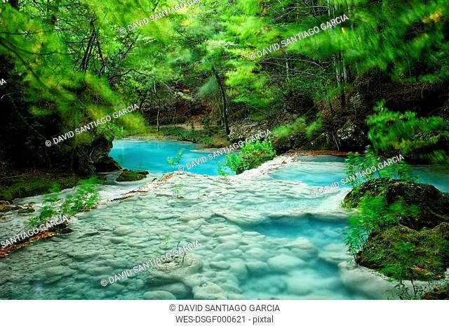 Spain, Urbasa y Andia Natural Park, Urederra river flowing between trees