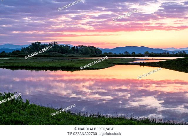 Italy, Friuli, Isonzo Estuary Regional Park, Isola della Cona Bird Sanctuary, wetland at sunrise