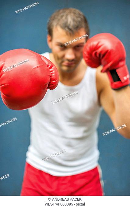 Boxer with red boxing gloves fighting