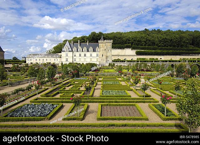 Villandry Castle, Loire Valley, Touraine, Chateau de, Villandry, Centre, France, Europe