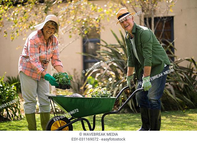 Portrait of cheerful senior couple carrying plants in wheel borrow