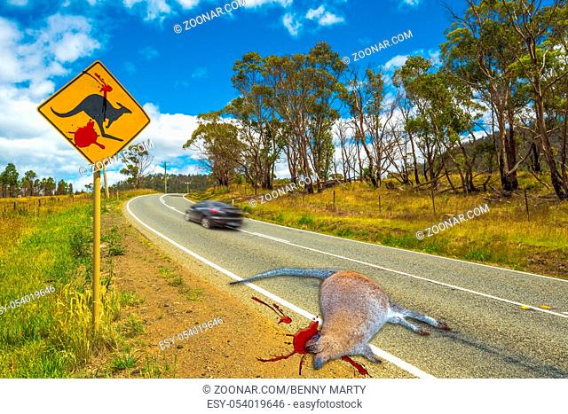 Warning sign for kangaroo crossing on Austalian country road with dead kangaroo hit by car with blood