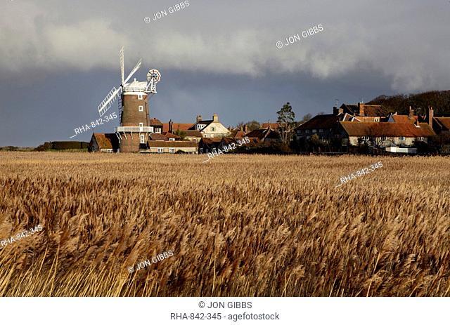 A bright winter day looking across the reedbeds towards Cley Mill at Cley next the Sea, Norfolk, England, United Kingdom, Europe