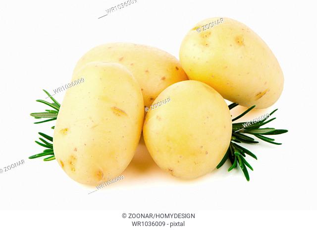 New potato and green parsley