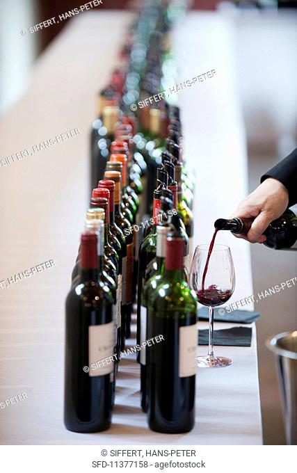 A wine journalist tasting 2014 Cru Bourgeois (Bordeaux, France)
