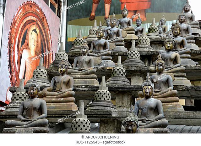 Buddhastatuen, Gangaramaya Tempel, Colombo, Sri Lanka