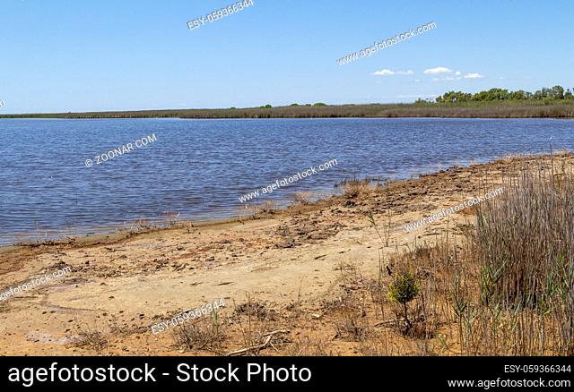 sunny waterside scenery in a natural region named Camargue in southern France