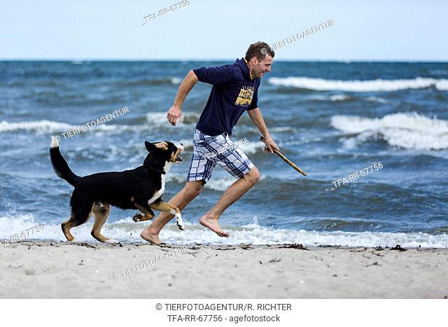 man and Great Swiss Mountain Dog