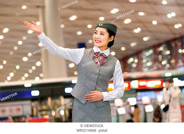 Young female flight attendants