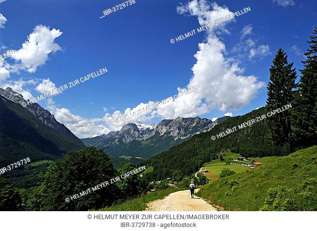 Berchtesgaden Alps with a hiker walking along a hiking trail, Reiteralpe Mountain at the rear, Loiplsau, Ramsau bei Berchtesgaden, Berchtesgadener Land District