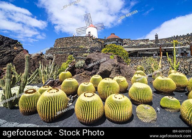 Jardín de Cactus, cactus garden Cesar Manrique, Lanzarote, Canary islands